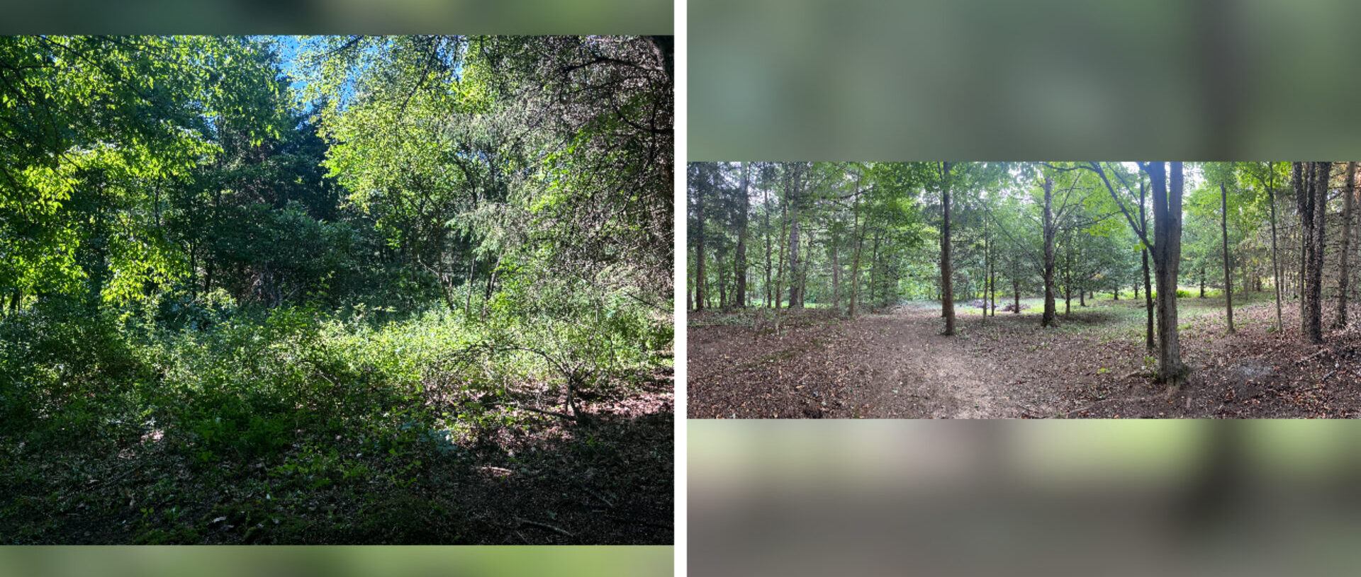 Commercial Before and After